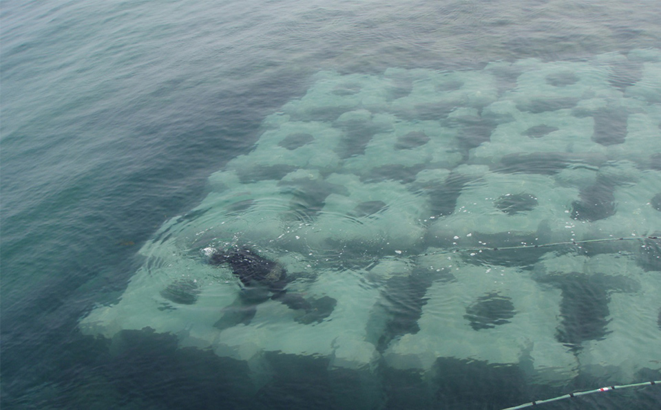 海の中道海岸工事（ブロック据付）